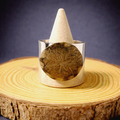 Anillo Origen