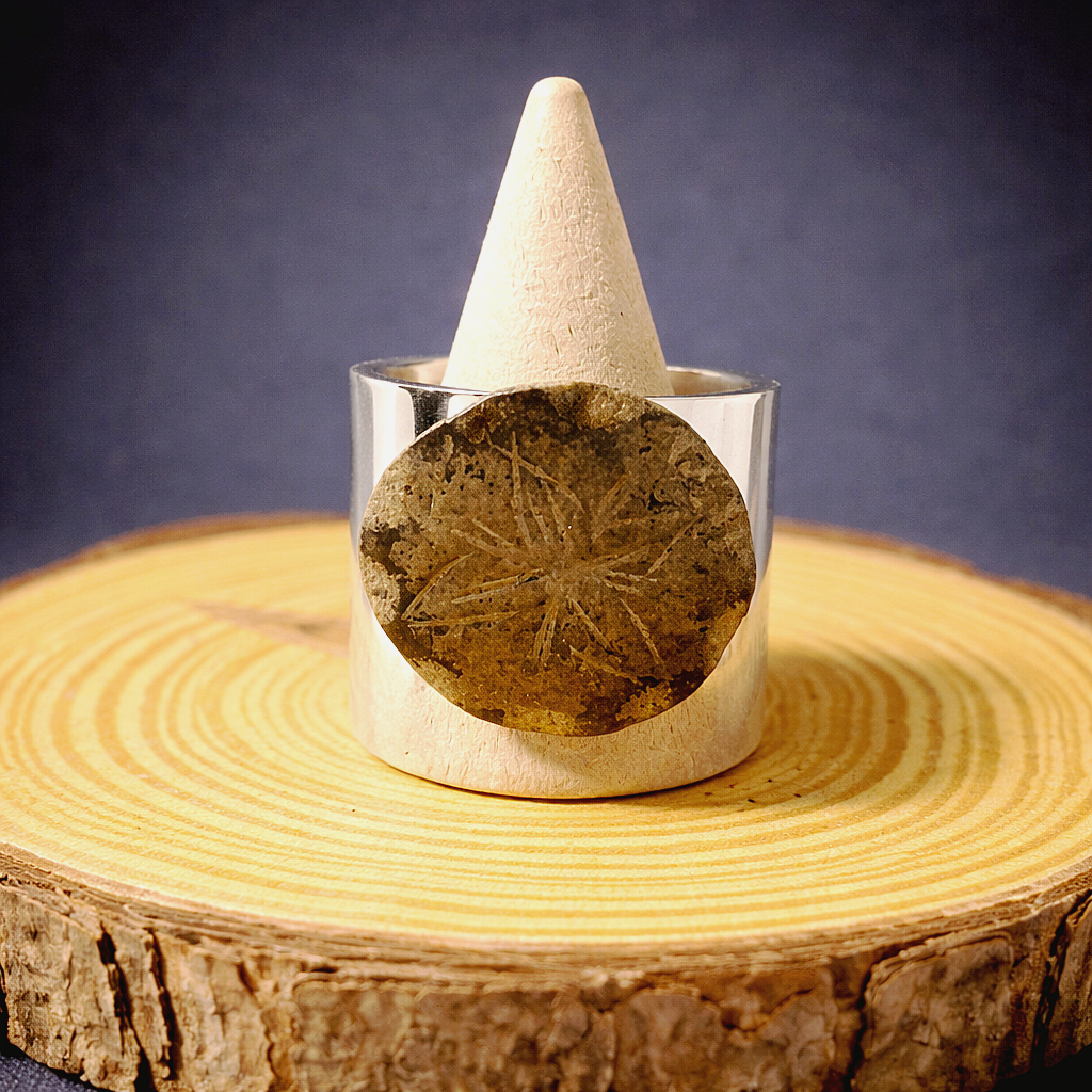 Anillo Origen